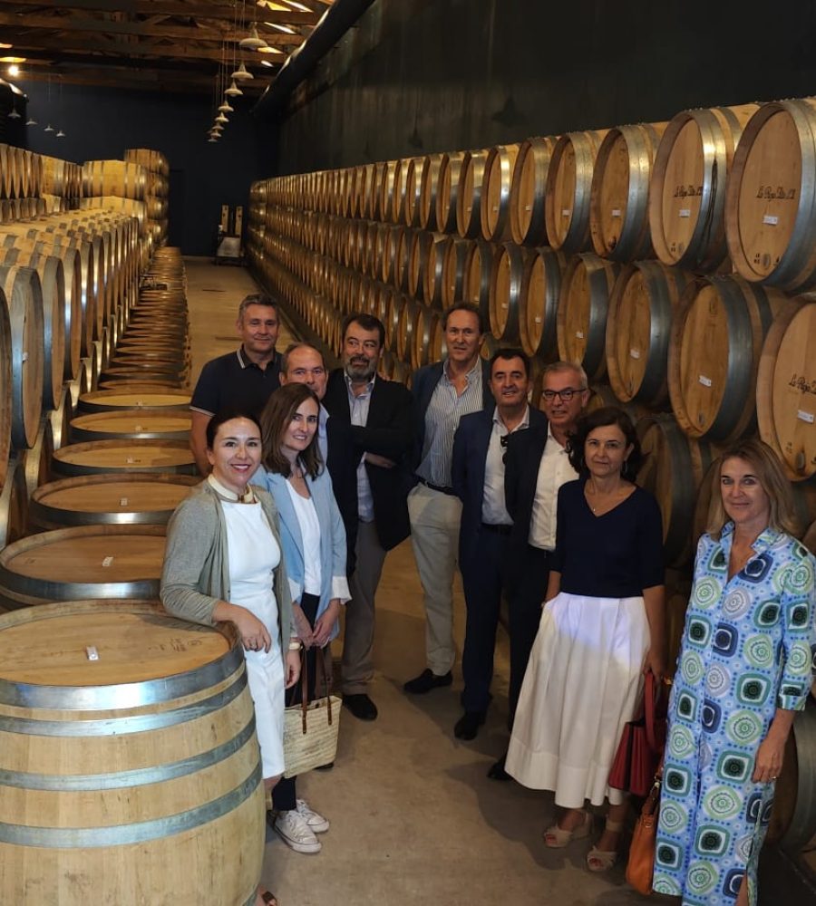 Imagen de WhatsApp 2025-07-22 a las 16.14.00_ac42250b